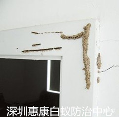 ڻݿρҾӰρ皢